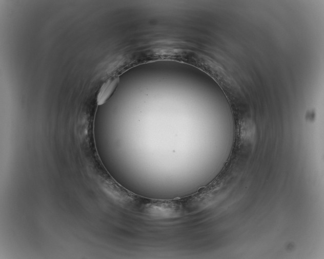 X0000097800567200803141056