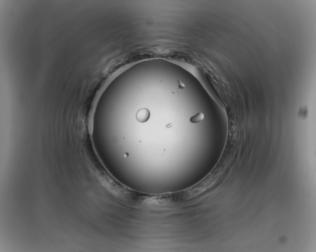 X0000097800568200803141056