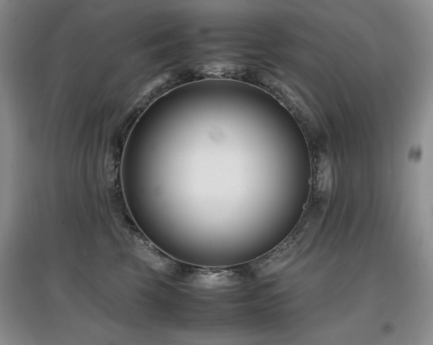 X0000097800569200803141056