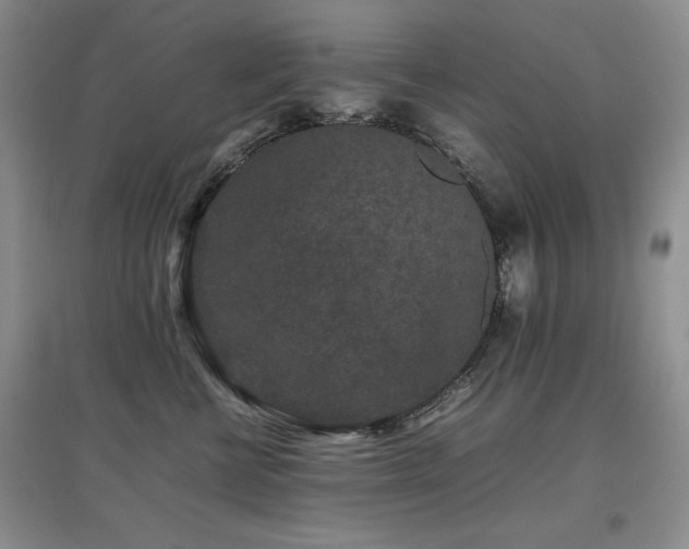 X0000097800570200803141056