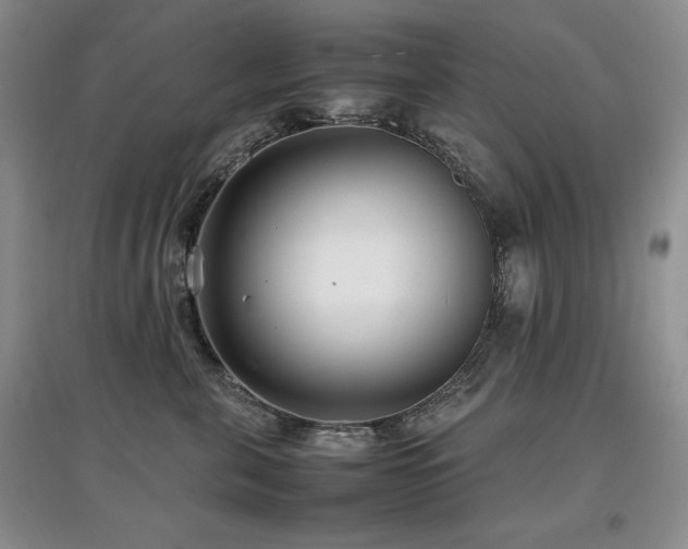 X0000097800571200803141056