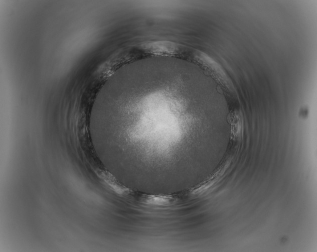 X0000097800573200803141056