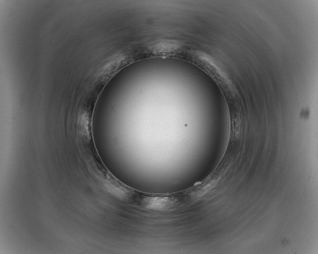 X0000097800575200803141056