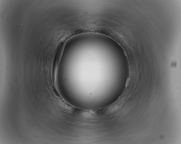 X0000097800576200803141056