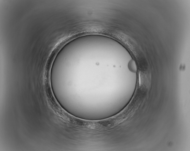 X0000097800579200803141056