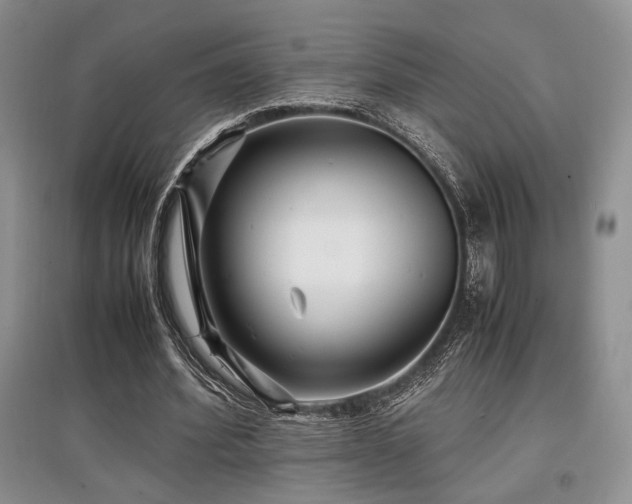 X0000097800580200803141056