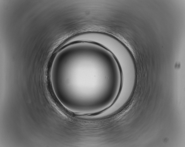 X0000097800581200803141056