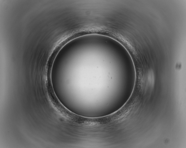 X0000097800582200803141056