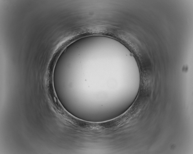 X0000097800583200803141056