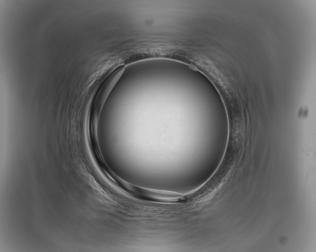 X0000097800585200803141056