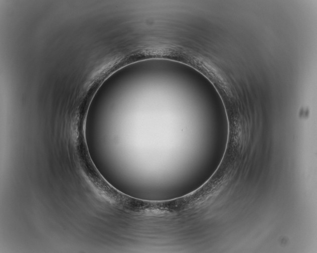 X0000097800586200803141056