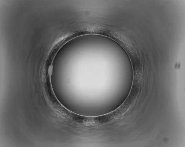 X0000097800587200803141056