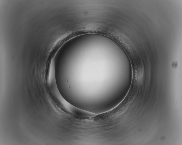 X0000097800588200803141056