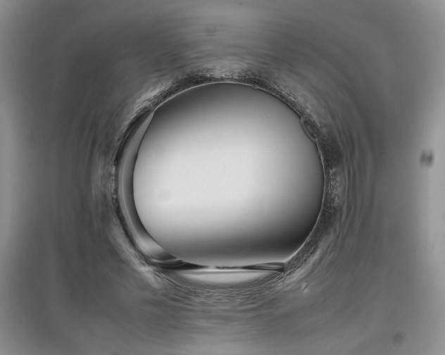 X0000097800589200803141056