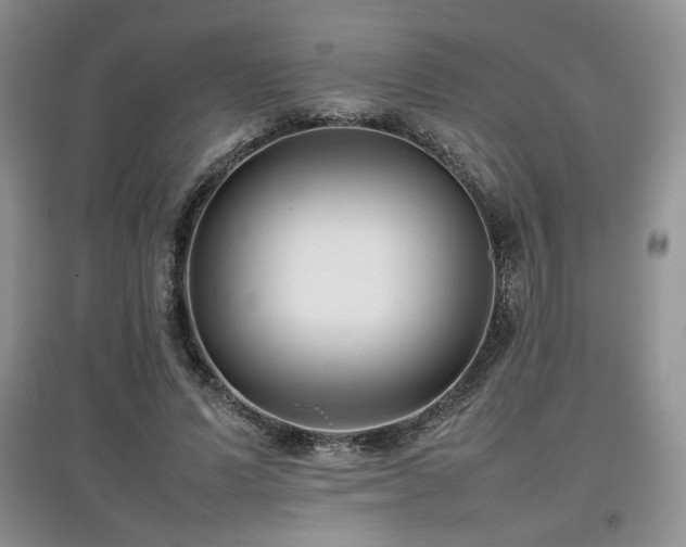 X0000097800591200803141056