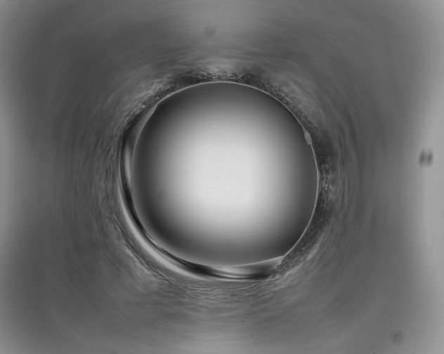 X0000097800593200803141056