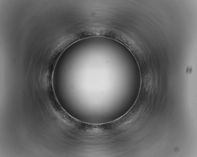 X0000097800594200803141056