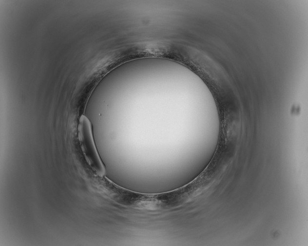 X0000097800595200803141056