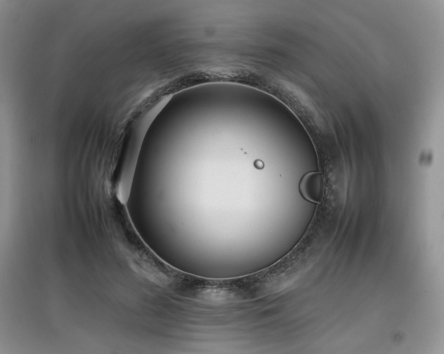 X0000097800596200803141055