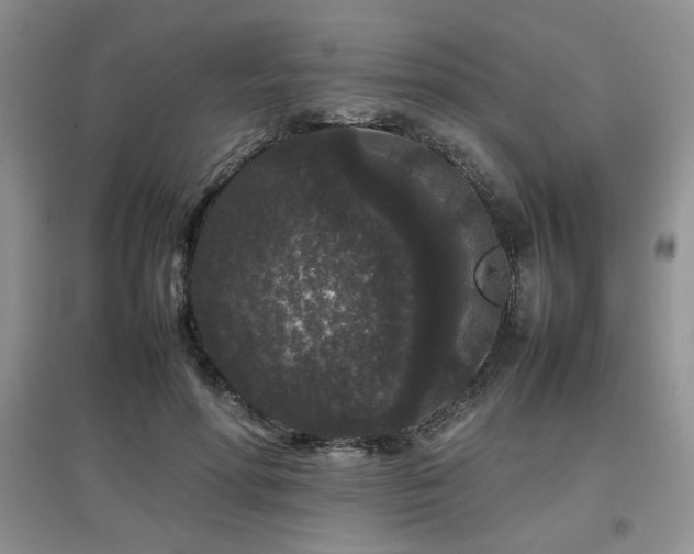 X0000097800598200803141055