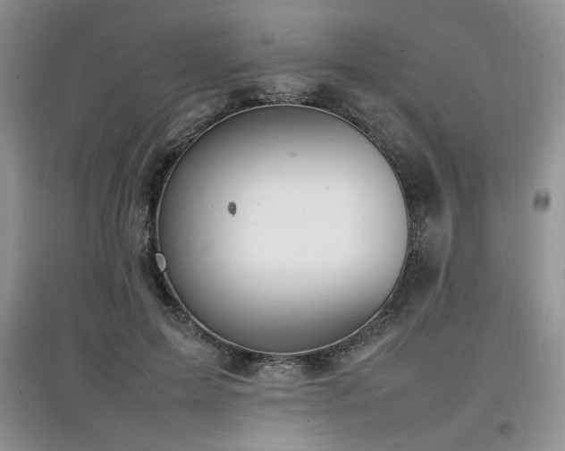 X0000097800599200803141055