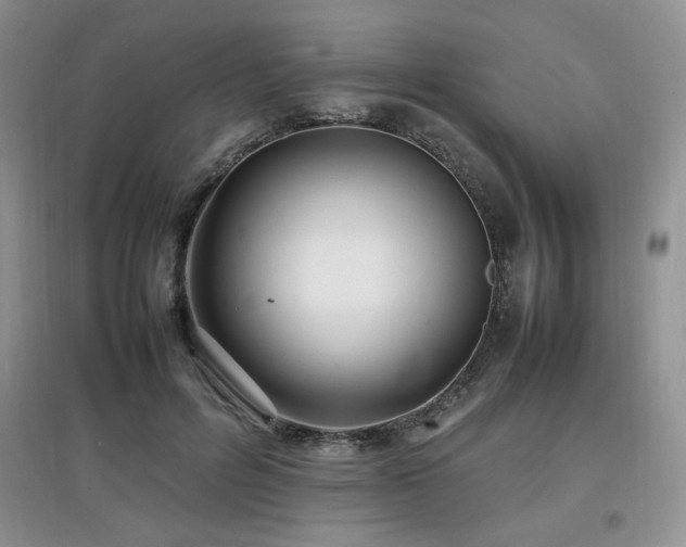 X0000097800600200803141055