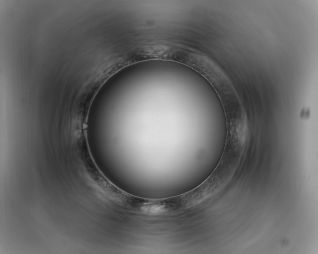 X0000097800602200803141055