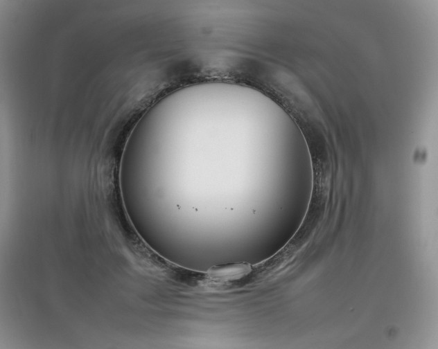 X0000097800603200803141055