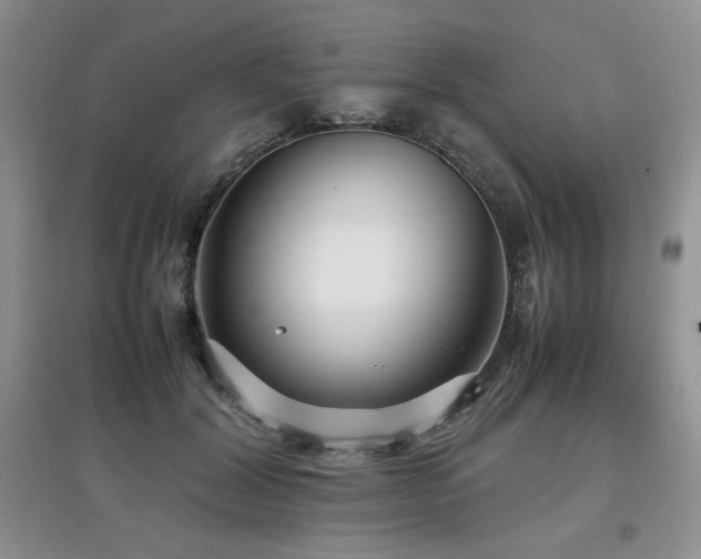 X0000097800604200803141055