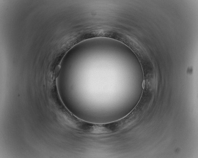 X0000097800605200803141055