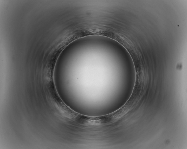 X0000097800606200803141055