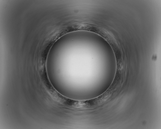 X0000097800607200803141055