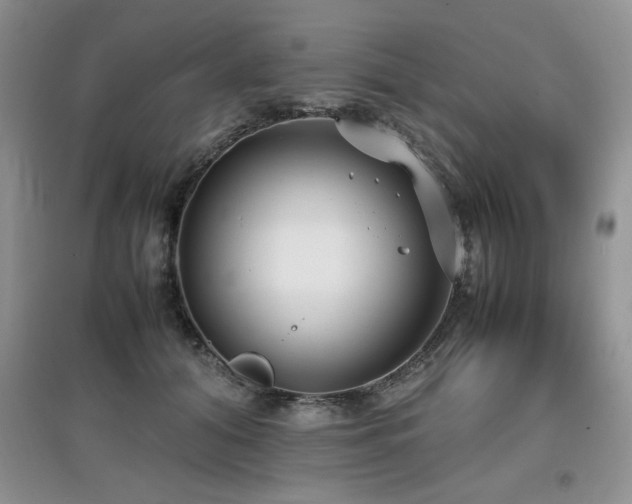 X0000097800608200803141055