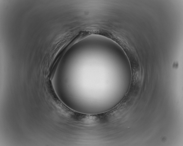 X0000097800609200803141055