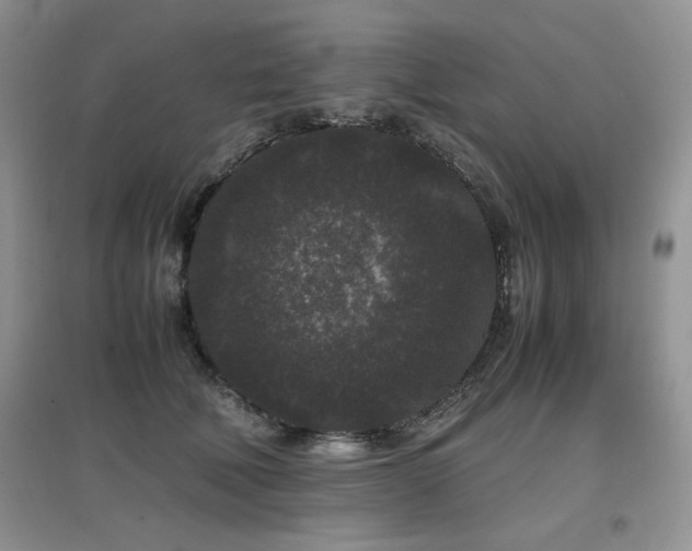 X0000097800610200803141055