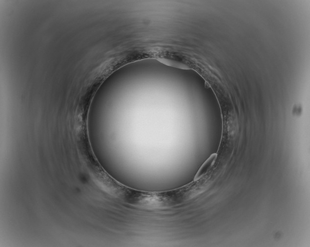 X0000097800611200803141055