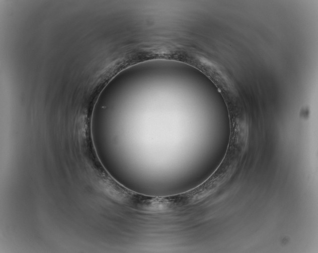 X0000097800612200803141055