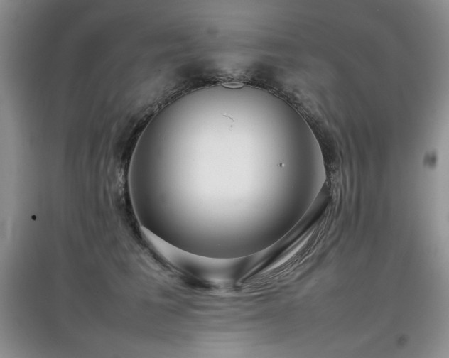 X0000097800613200803141055