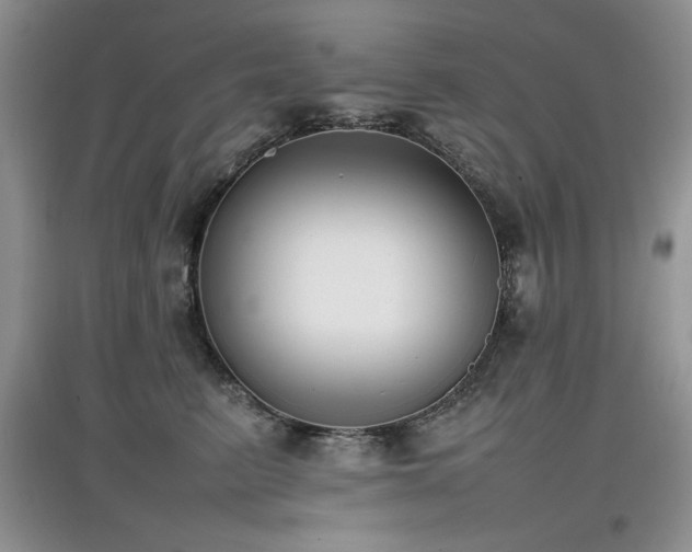 X0000097800615200803141055