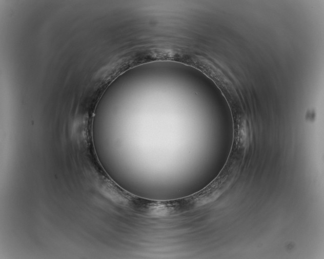 X0000097800616200803141055