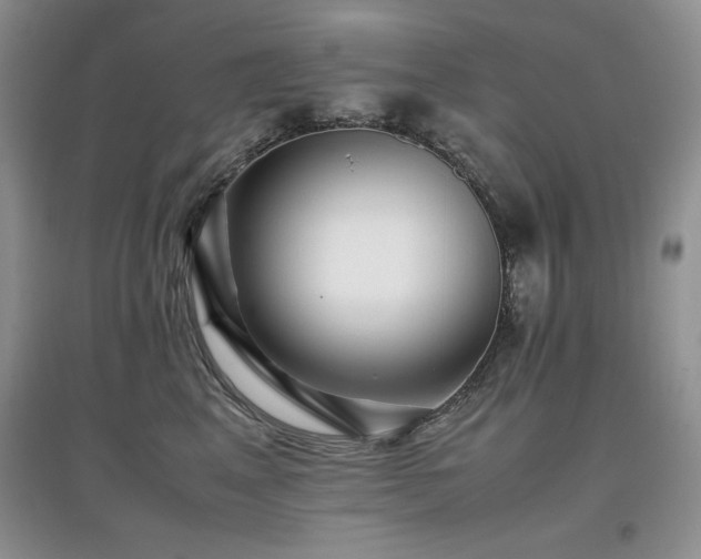 X0000097800617200803141055