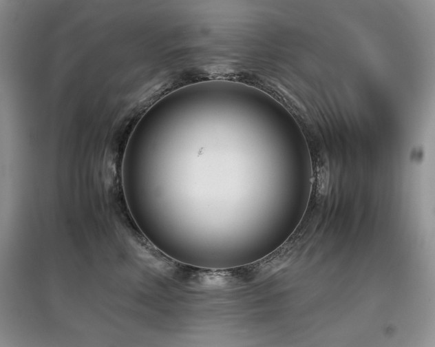 X0000097800618200803141055