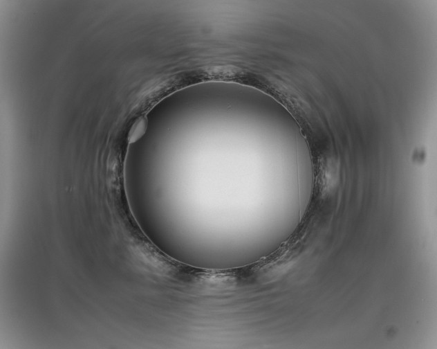 X0000097800619200803141055