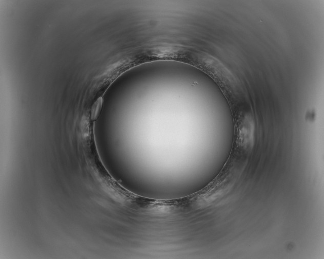 X0000097800620200803141055