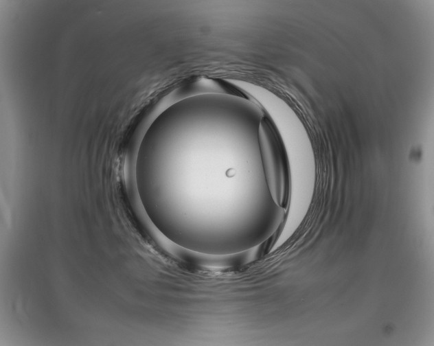 X0000097800621200803141055