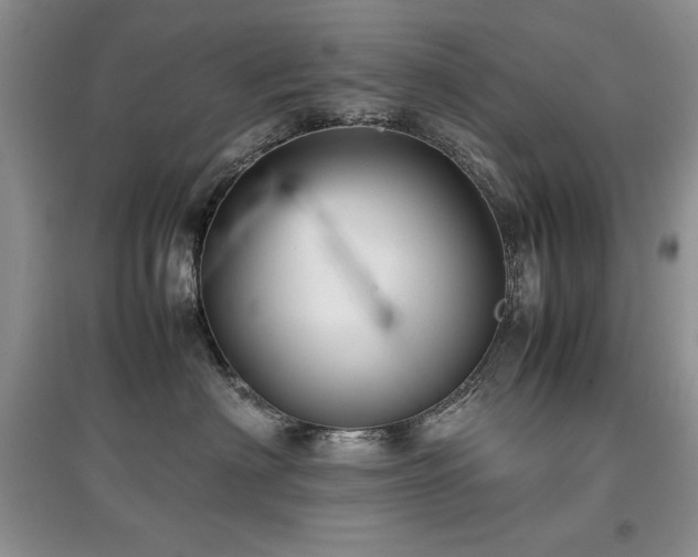 X0000097800622200803141055