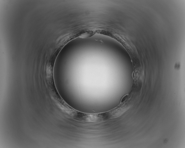 X0000097800623200803141055