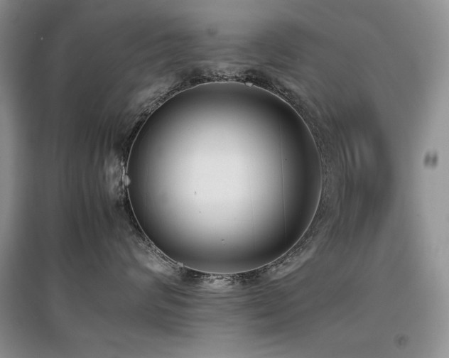 X0000097800624200803141055