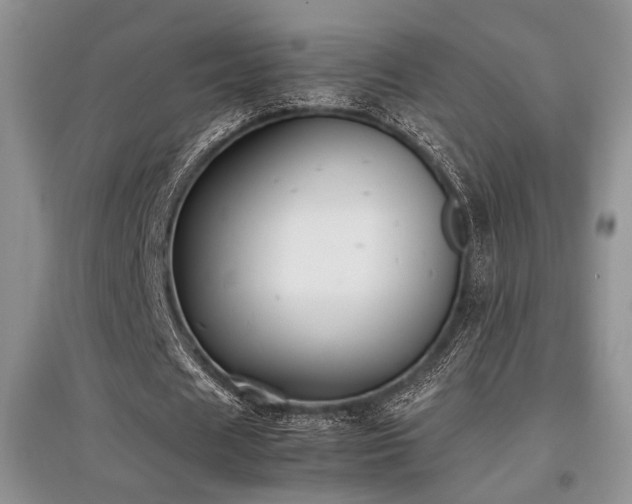 X0000097800625200803141054