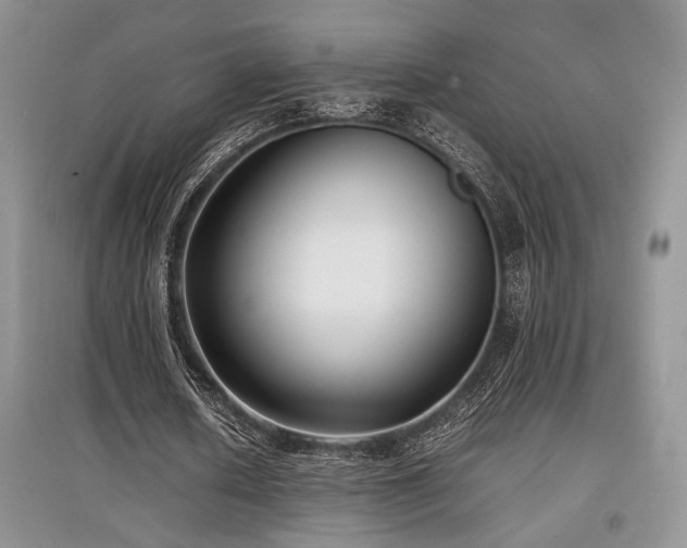 X0000097800626200803141054